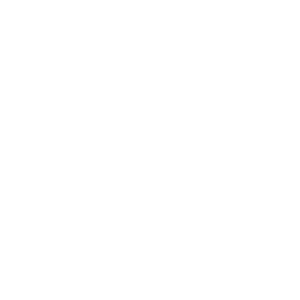 Aqua Culture - The Fine Art of Diving